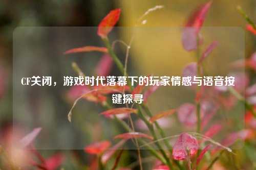 CF关闭,游戏时代落幕下的玩家情感与语音按键探寻