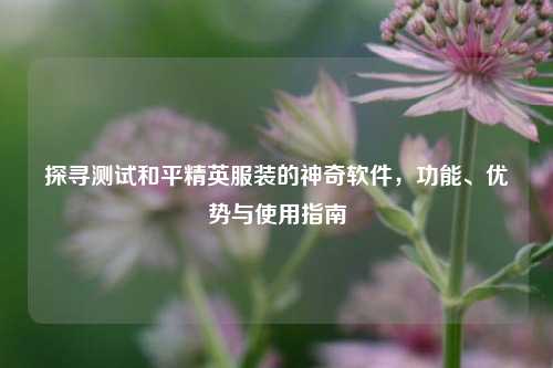 探寻测试和平精英服装的神奇软件,功能、优势与使用指南