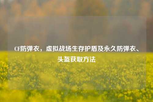 CF防弹衣,虚拟战场生存护盾及永久防弹衣、头盔获取方法