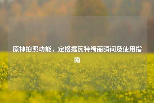 原神拍照功能,定格提瓦特绮丽瞬间及使用指南