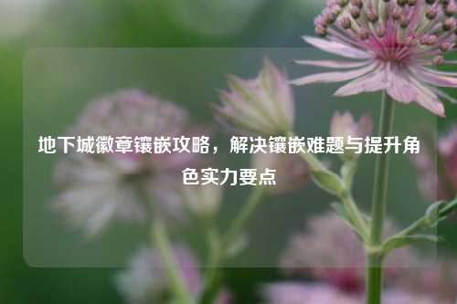 地下城徽章镶嵌攻略,解决镶嵌难题与提升角色实力要点