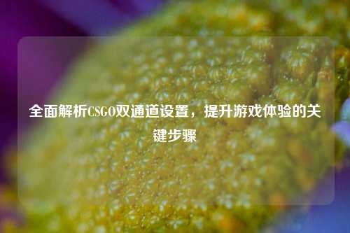 全面解析CSGO双通道设置，提升游戏体验的关键步骤