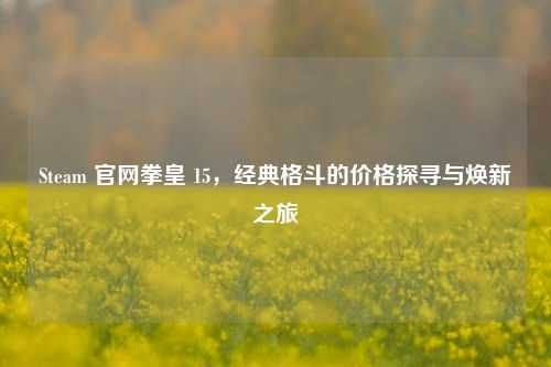 Steam 官网拳皇 15,经典格斗的价格探寻与焕新之旅