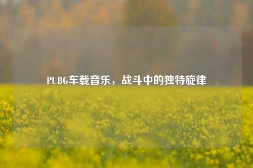 PUBG车载音乐,战斗中的独特旋律