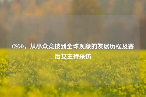 CSGO,从小众竞技到全球现象的发展历程及赛后女主持采访