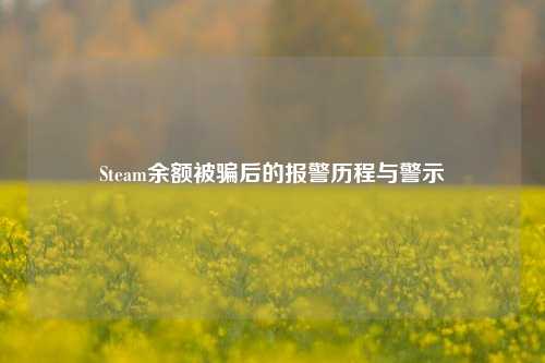 Steam余额被骗后的报警历程与警示