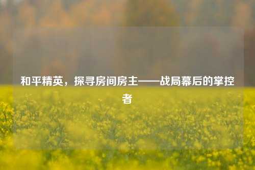 和平精英,探寻房间房主——战局幕后的掌控者