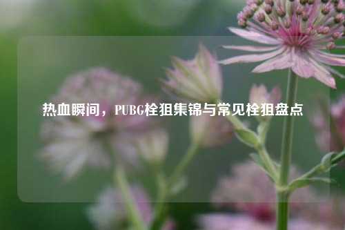 热血瞬间,PUBG栓狙集锦与常见栓狙盘点