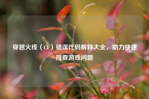 穿越火线(CF)错误代码解释大全,助力快速排查游戏问题