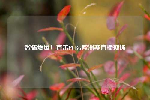 激情燃爆!直击PUBG欧洲赛直播现场