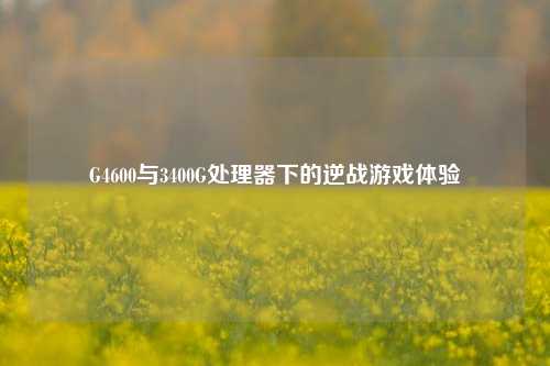 G4600与3400G处理器下的逆战游戏体验
