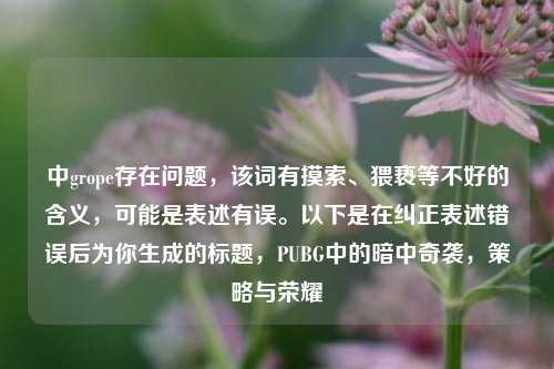 中grope存在问题,该词有摸索、猥亵等不好的含义,可能是表述有误。以下是在纠正表述错误后为你生成的标题,PUBG中的暗中奇袭,策略与荣耀