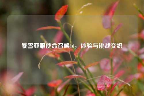 暴雪亚服使命召唤16,体验与挑战交织