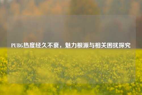PUBG热度经久不衰,魅力根源与相关困扰探究