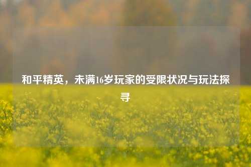 和平精英，未满16岁玩家的受限状况与玩法探寻