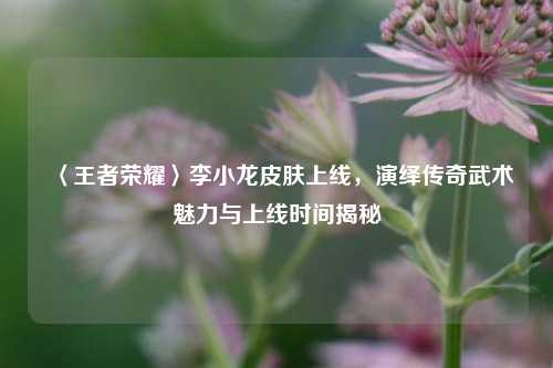 〈王者荣耀〉李小龙皮肤上线,演绎传奇武术魅力与上线时间揭秘