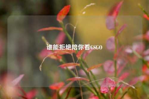 谁能拒绝陪你看CSGO