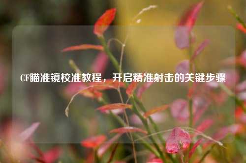CF瞄准镜校准教程,开启精准射击的关键步骤
