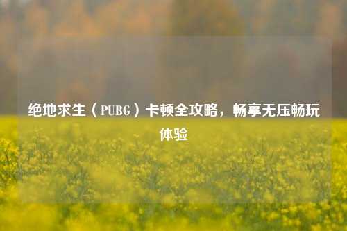 绝地求生(PUBG)卡顿全攻略,畅享无压畅玩体验