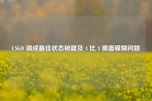 CSGO 调成最佳状态秘籍及 4 比 3 画面模糊问题