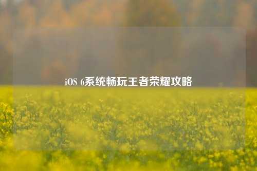 iOS 6系统畅玩王者荣耀攻略