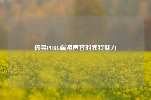 探寻PUBG端游声音的独特魅力
