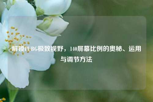 解锁PUBG极致视野,140屏幕比例的奥秘、运用与调节方法