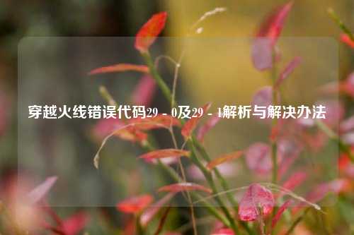 穿越火线错误代码29 - 0及29 - 1解析与解决办法