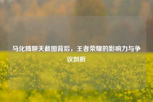 马化腾聊天截图背后,王者荣耀的影响力与争议剖析