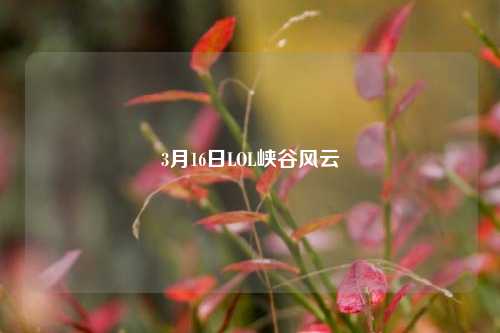 3月16日LOL峡谷风云