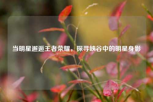 当明星邂逅王者荣耀,探寻峡谷中的明星身影