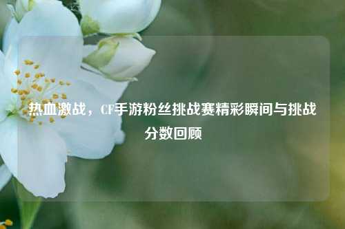 热血激战,CF手游粉丝挑战赛精彩瞬间与挑战分数回顾