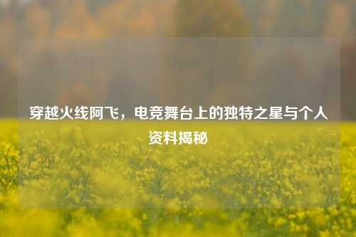 穿越火线阿飞,电竞舞台上的独特之星与个人资料揭秘