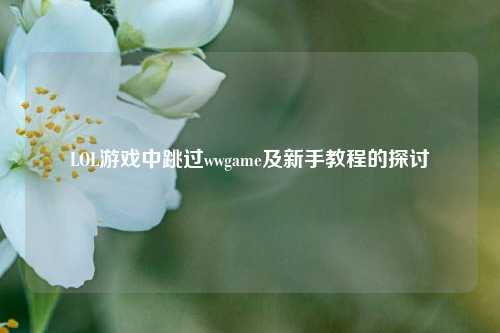 LOL游戏中跳过wwgame及新手教程的探讨