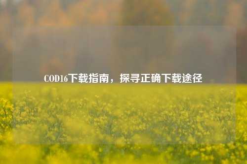 COD16下载指南,探寻正确下载途径