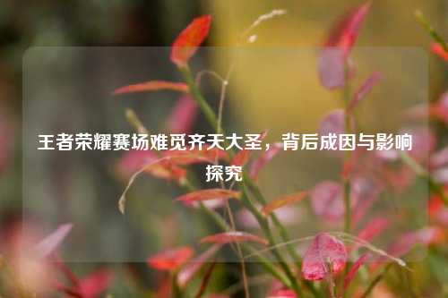 王者荣耀赛场难觅齐天大圣,背后成因与影响探究