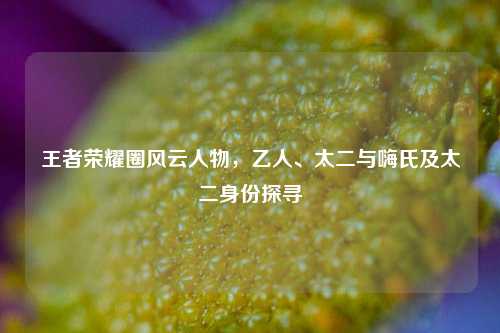 王者荣耀圈风云人物,乙人、太二与嗨氏及太二身份探寻