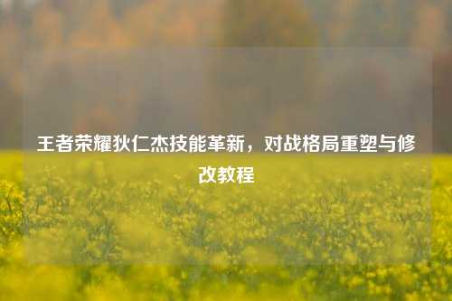 王者荣耀狄仁杰技能革新,对战格局重塑与修改教程