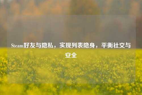 Steam好友与隐私,实现列表隐身,平衡社交与安全
