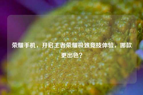 荣耀手机,开启王者荣耀极致竞技体验,哪款更出色?