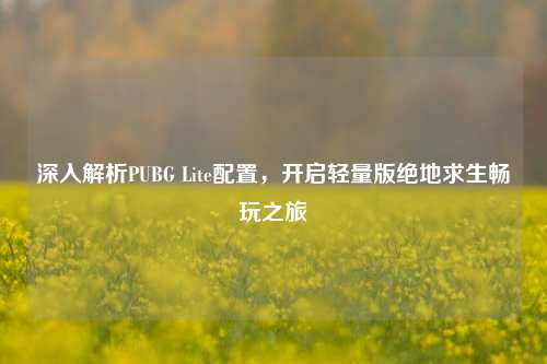 深入解析PUBG Lite配置,开启轻量版绝地求生畅玩之旅