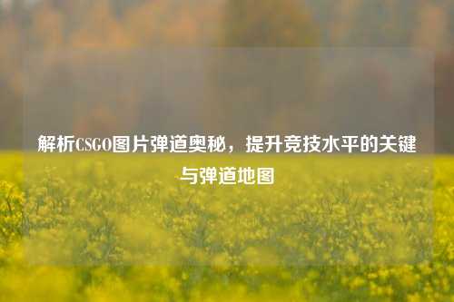解析CSGO图片弹道奥秘,提升竞技水平的关键与弹道地图