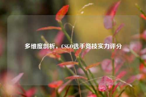 多维度剖析,CSGO选手竞技实力评分