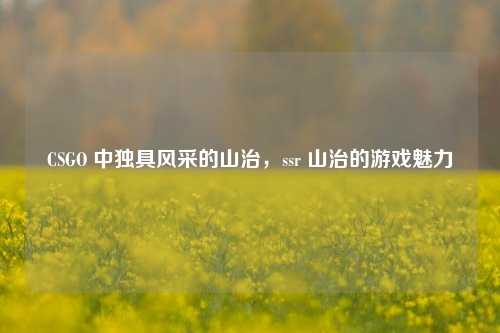 CSGO 中独具风采的山治,ssr 山治的游戏魅力