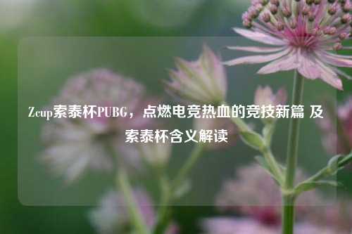 Zcup索泰杯PUBG,点燃电竞热血的竞技新篇 及索泰杯含义解读
