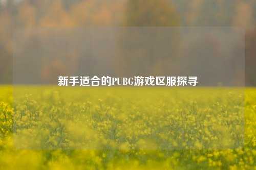 新手适合的PUBG游戏区服探寻