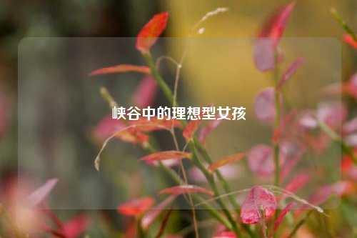 峡谷中的理想型女孩