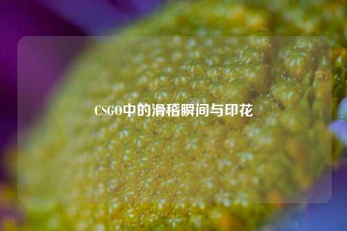 CSGO中的滑稽瞬间与印花