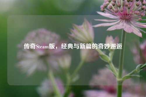 传奇Steam版,经典与新篇的奇妙邂逅