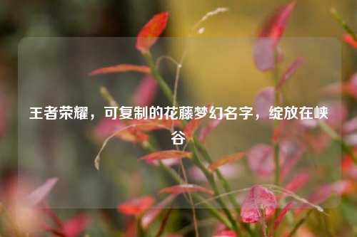 王者荣耀,可复制的花藤梦幻名字,绽放在峡谷